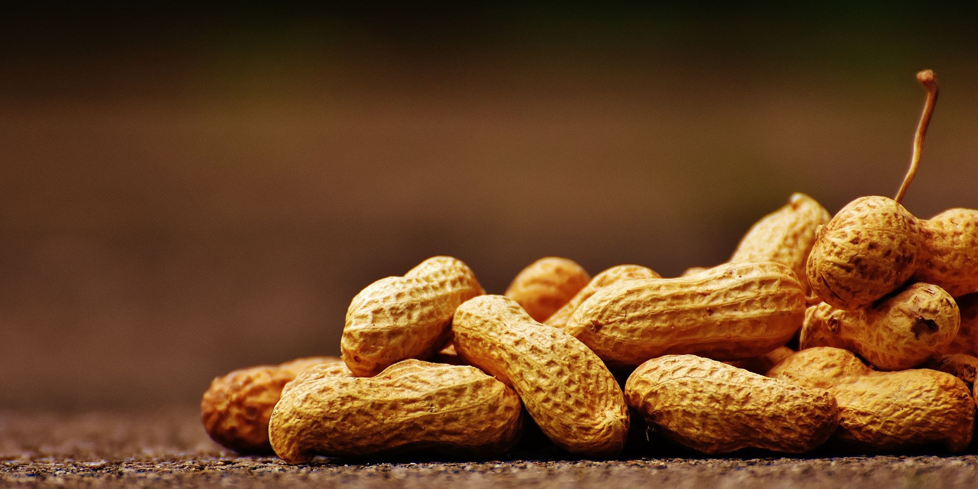 Virginia Peanuts Gourmet Jumbo VA Peanuts Virginia Peanut Company