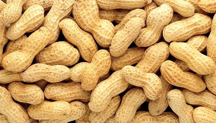 Peanut Posts - Virginia Peanut Company
