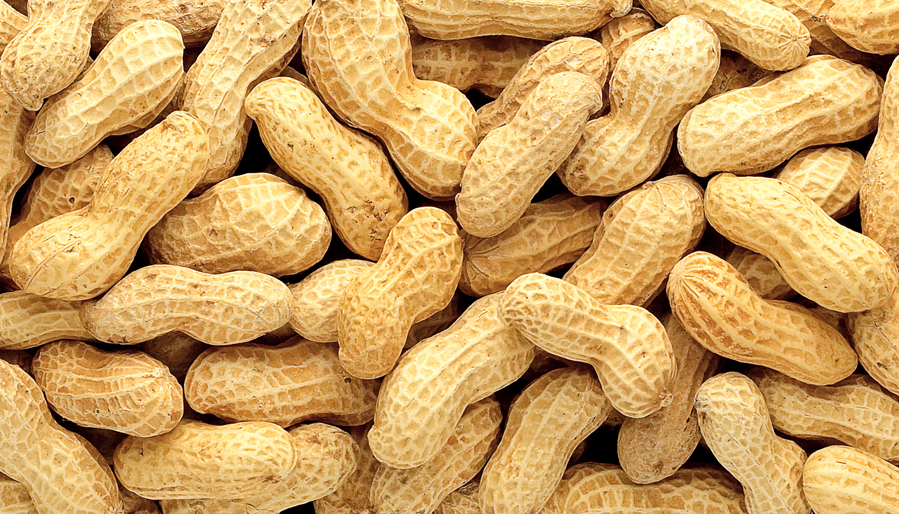 Virginia Peanuts Gourmet Jumbo VA Peanuts Virginia Peanut Company